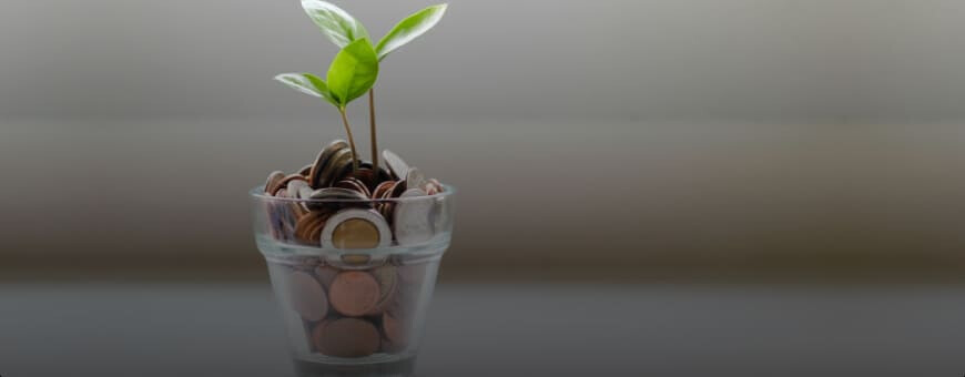 A small container filled with coins